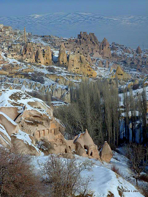 Capadcia amb neu